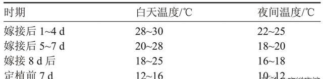 春季大棚西瓜管理技术图4