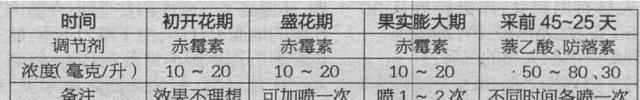 大棚冬枣树开花坐果期的管理图7