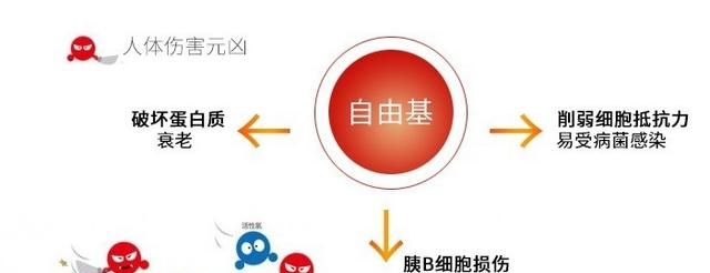 抗糖抗衰老的本质是清除自由基图2