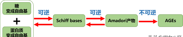 抗糖抗衰老的本质是清除自由基图3