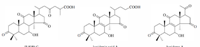 天然药物化学三萜及其苷类图6
