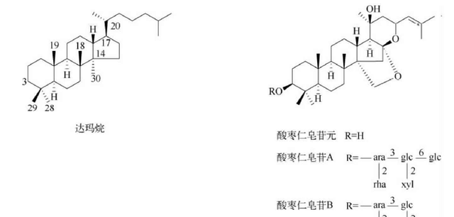 天然药物化学三萜及其苷类图8