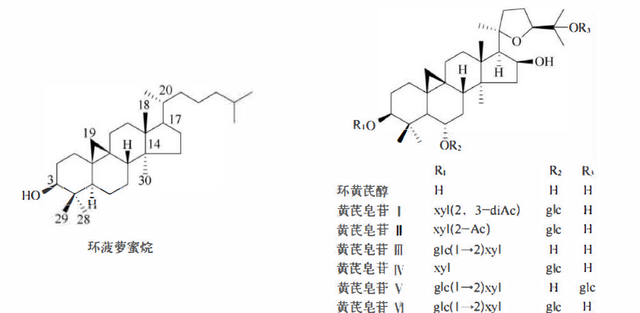 天然药物化学三萜及其苷类图11