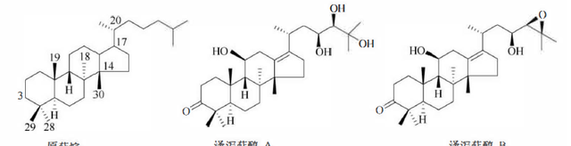 天然药物化学三萜及其苷类图12