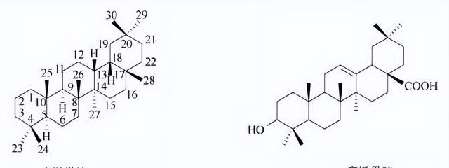 天然药物化学三萜及其苷类图14