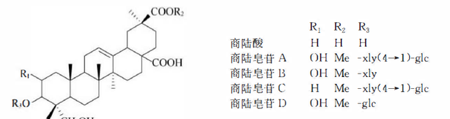 天然药物化学三萜及其苷类图15