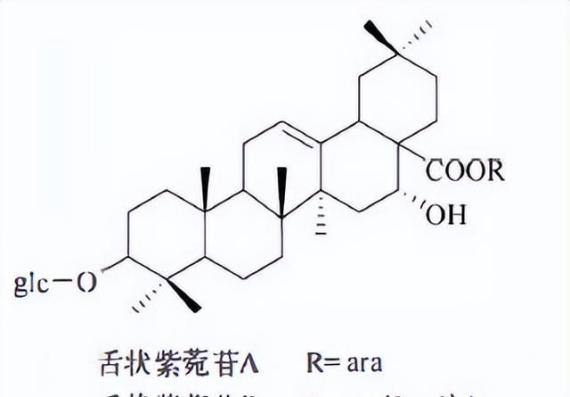 天然药物化学三萜及其苷类图16