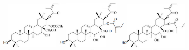 天然药物化学三萜及其苷类图17