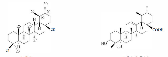 天然药物化学三萜及其苷类图19