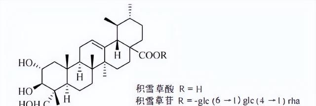 天然药物化学三萜及其苷类图20