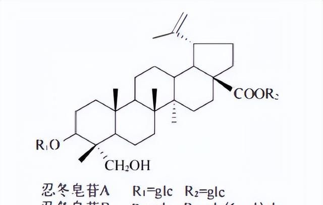 天然药物化学三萜及其苷类图23