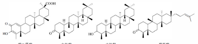 天然药物化学三萜及其苷类图25