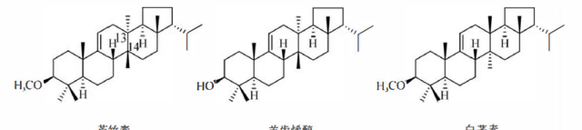 天然药物化学三萜及其苷类图26