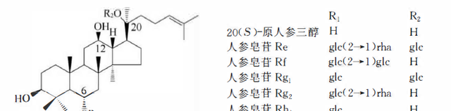 天然药物化学三萜及其苷类图31