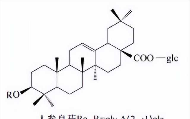 天然药物化学三萜及其苷类图32