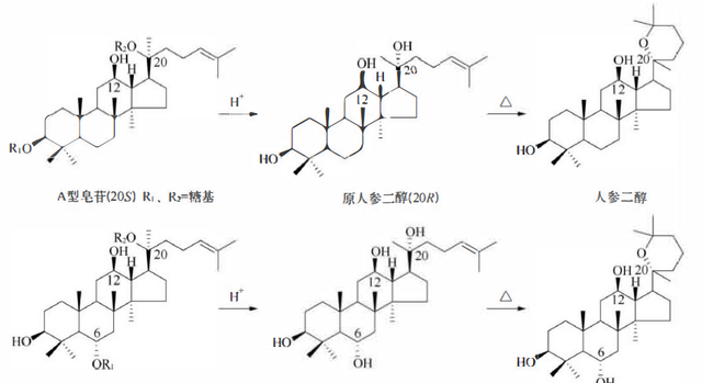 天然药物化学三萜及其苷类图33
