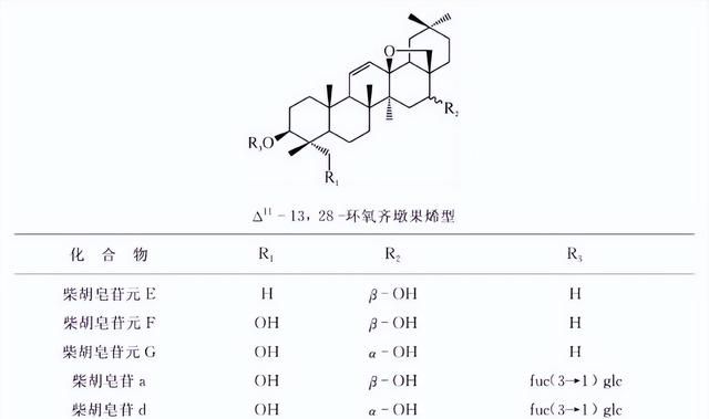 天然药物化学三萜及其苷类图38