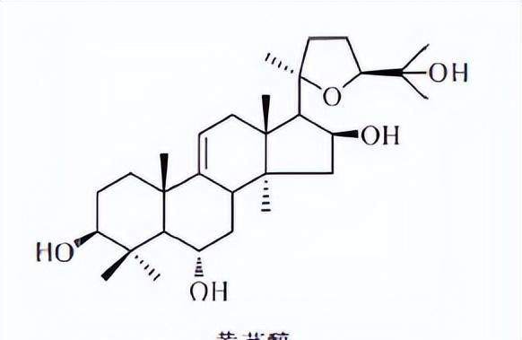 天然药物化学三萜及其苷类图41