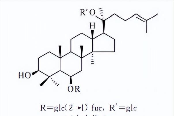 天然药物化学三萜及其苷类图42