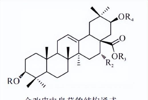 天然药物化学三萜及其苷类图43