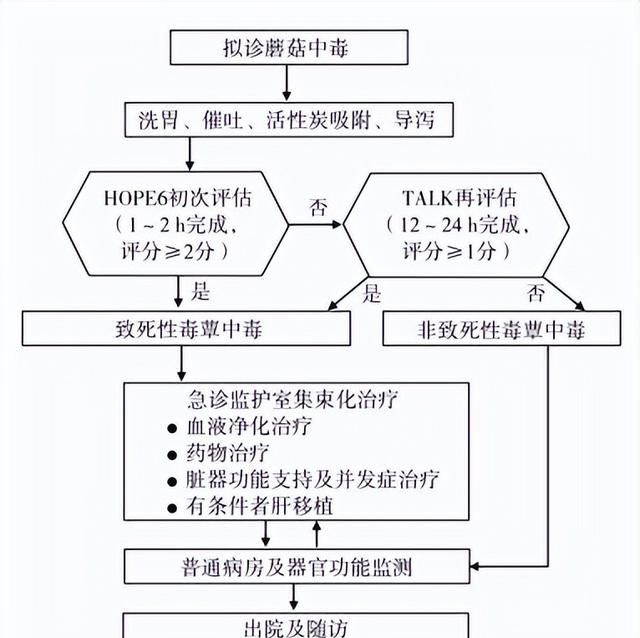 蘑菇中毒诊疗指南,中国蘑菇中毒诊治图18