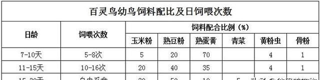 百灵鸟怎么养才不怕人呢(百灵鸟怎么养才能长得快)图4