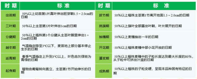 一张图看懂小麦生育期,小麦生育期划分及时间图表图6