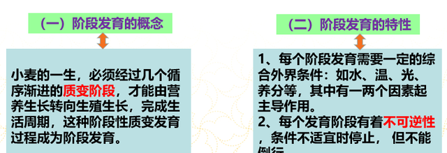 一张图看懂小麦生育期,小麦生育期划分及时间图表图7