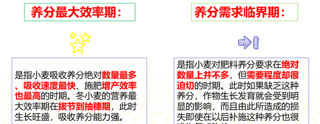 一张图看懂小麦生育期,小麦生育期划分及时间图表图21