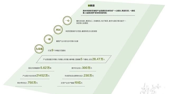 入口入药又入心 古时橄榄大流行！宋韵橄榄是潮州文化的缩影，是中原文化的具象载体图10