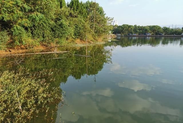 野钓泥鳅,另有一番乐趣,垂钓技巧简单易学图2