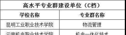 云南双高计划专科学校排名(云南双高)图2