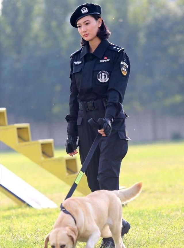 盘点关于警犬神犬的电视电影图1