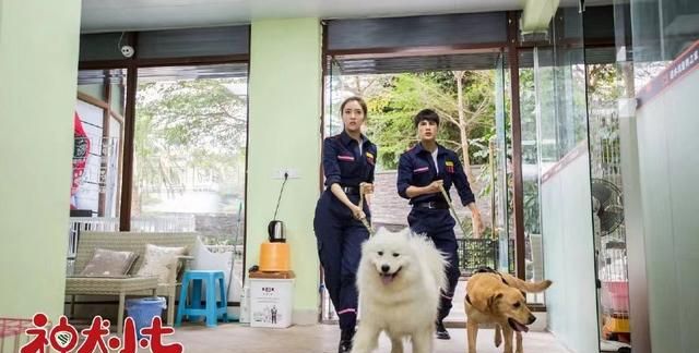 盘点关于警犬神犬的电视电影图6