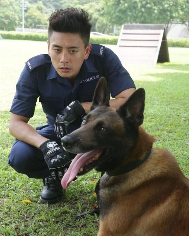 盘点关于警犬神犬的电视电影图7