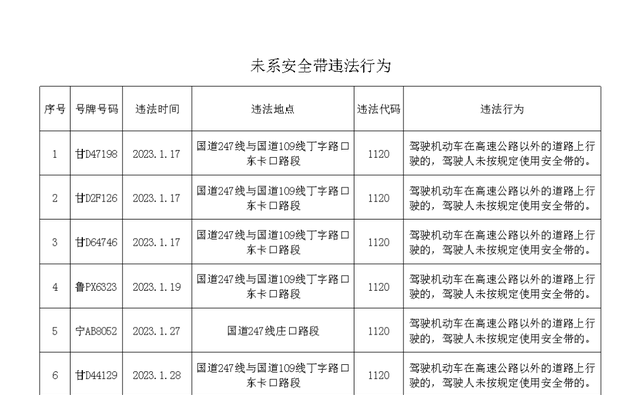 靖远县公安局交警大队长是谁图3