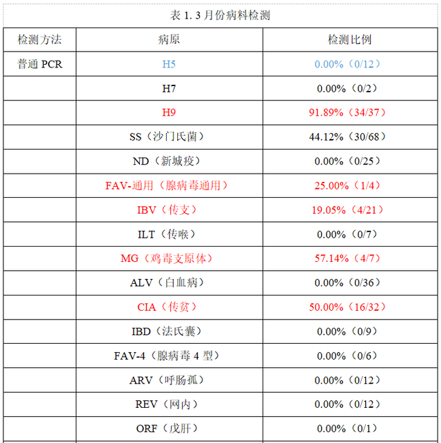 肉鸡常见流行病有哪些如何防控,当前肉鸡病有什么流行特点图1