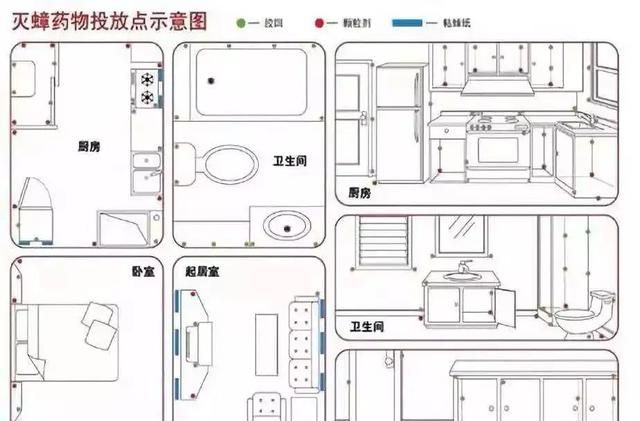 科学消灭家庭的蟑螂,有技巧吗(家庭有蟑螂是用什么方法消灭好)图10