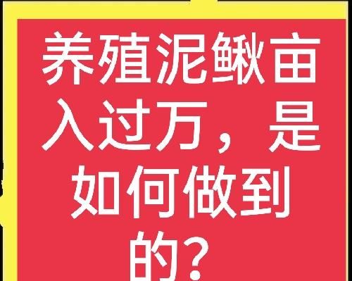 养殖泥鳅需要什么条件基地图1