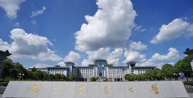 我国实力最强的211大学你认可吗图3