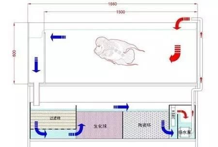 各种过滤的优缺点图4