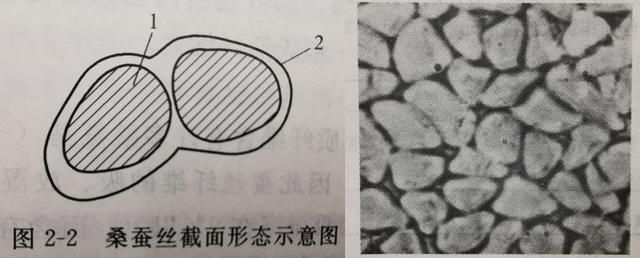 夏天盖蚕丝被好还是夏凉被好(夏天盖鹅绒被好还是蚕丝被好)图4