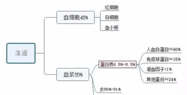 天坛生物 血液制品 新冠图4