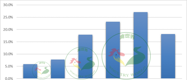 蛋鸡传染性支气管炎的特效药,鸡传染性支气管炎的典型症状是图12