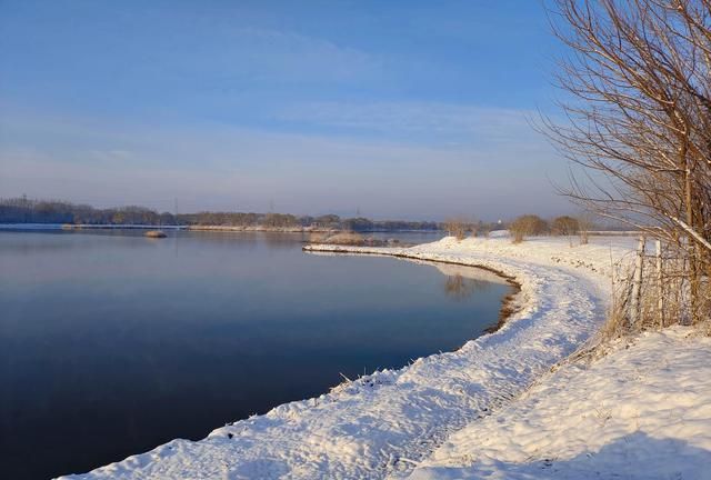 雪后的周六(雪后的清静)图1