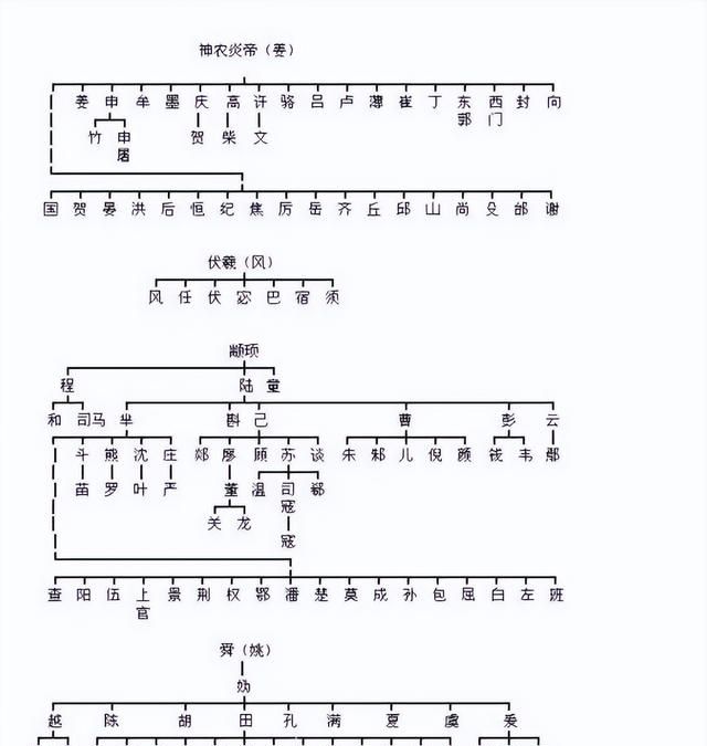 姓,氏的区别,演变,你能找到你的先祖吗图3