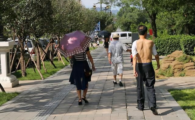 中医补阳气的最好药方,中医补阳气的时间图6