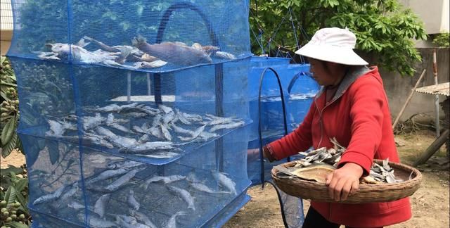 野生河鱼干怎么做味道最好(怎样晾晒河鱼干)图7