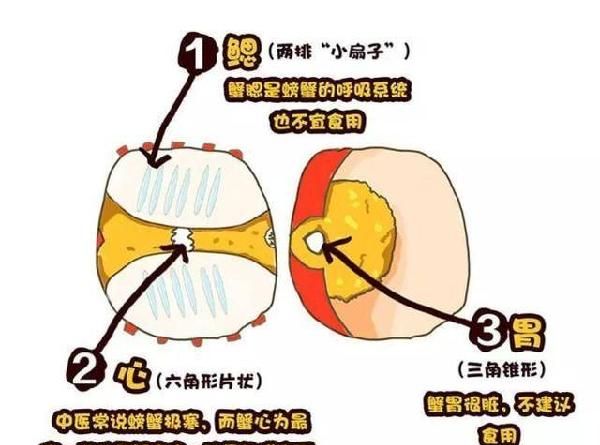 大闸蟹中的死蟹能吃吗(大闸蟹母蟹的处理方法)图3