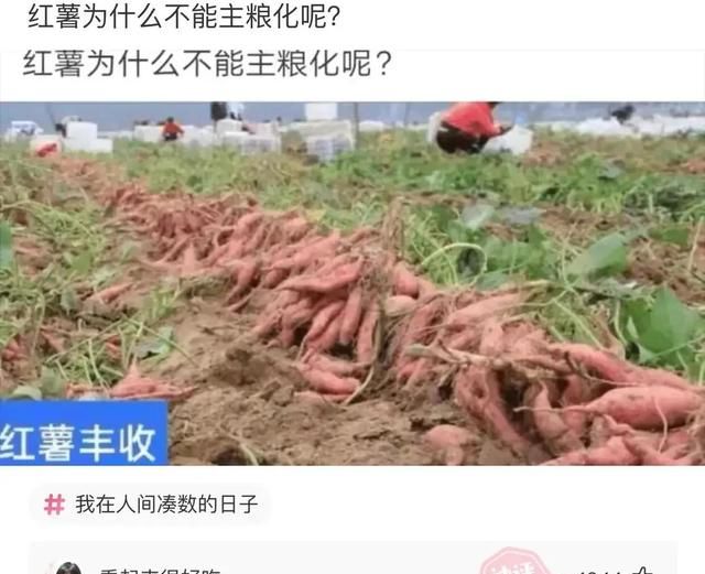 罗翔律师官司胜率图7